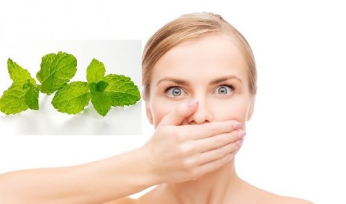 Trị hôi miệng làm trắng răng bằng lá bạc hà